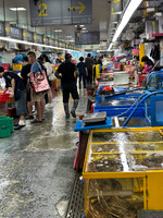 Busan Jagalchi Market