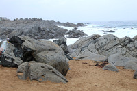 Isla Negra