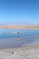 Laguna Cejar