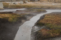 Hot Pot