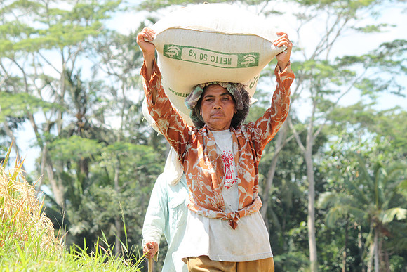 Ubud.