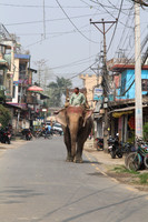 Sauhara