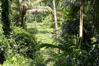 Gunung Kawi Temple.