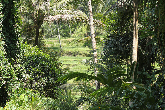 Gunung Kawi Temple.
