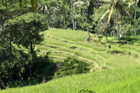 Gunung Kawi Temple.