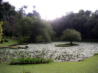Kandy