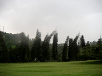 Kandy