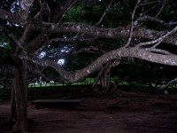 Kandy