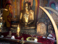 Kandy