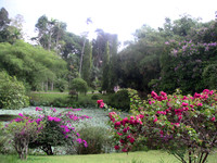 Kandy