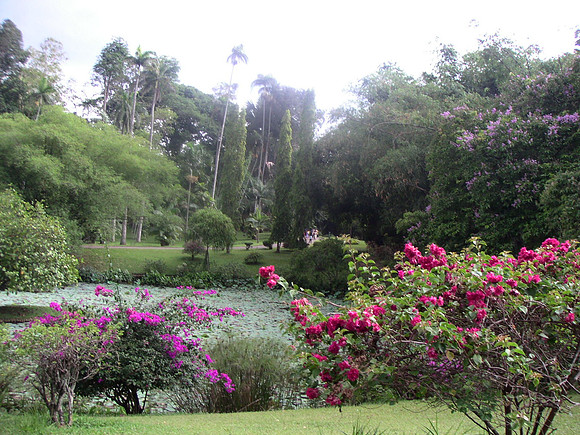 Kandy