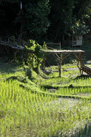 2014 Philippines