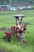 Jatiluwih.