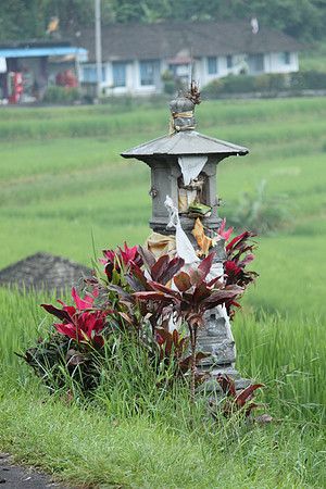 Jatiluwih.