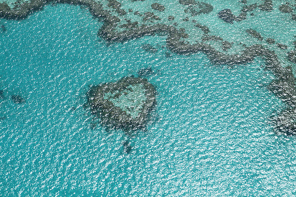 Heart Reef