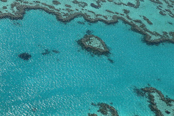 Heart Reef