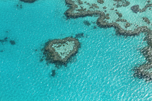 Heart Reef