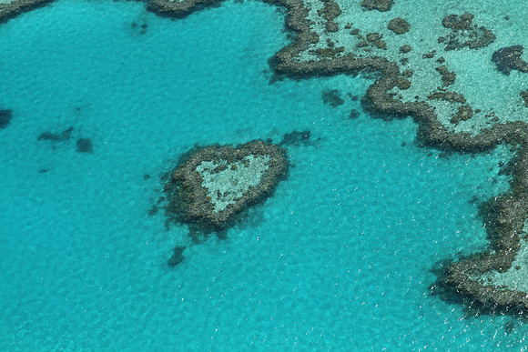 Heart Reef
