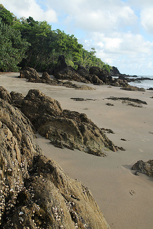 Mission Beach