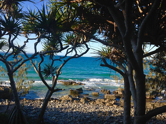 Noosa National Park.
