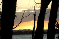 Noosa National Park.