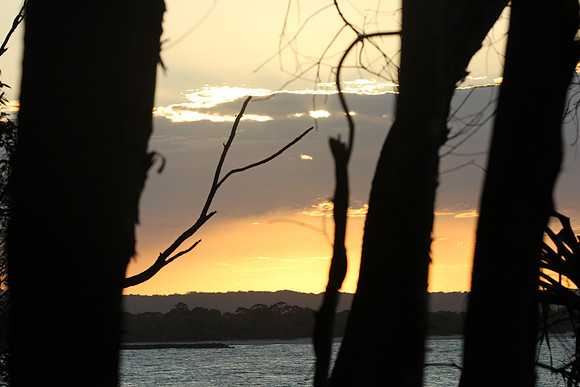 Noosa National Park.