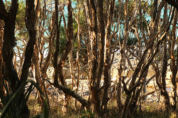 Noosa National Park.