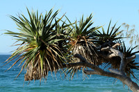 Noosa National Park.