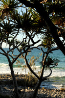 Noosa National Park.