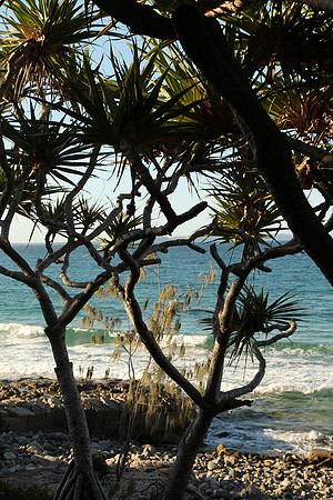 Noosa National Park.