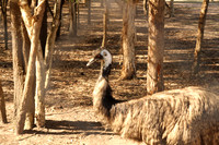 Fraser Coast Wildlife Sanctuary