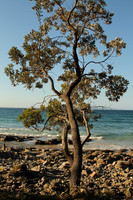 Noosa National Park.