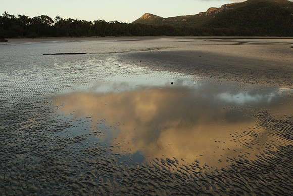 Cape Hillsborough