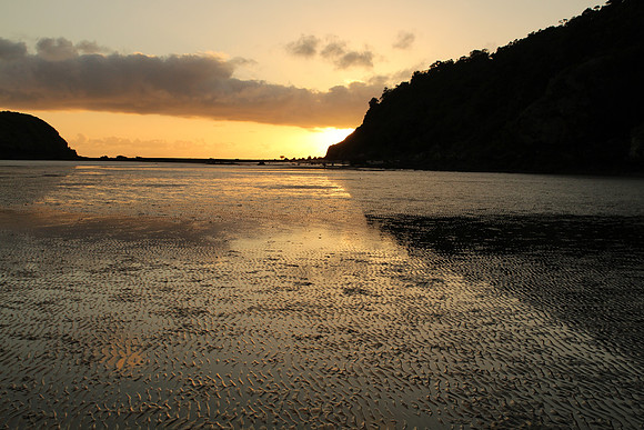 Cape Hillsborough
