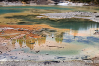 Norris Geyser Bassin