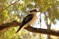 Meelup beach