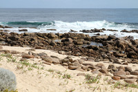 Lewin national park