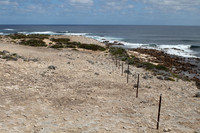 Lewin national park