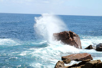 Lewin national park