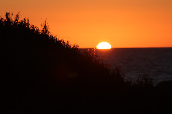 Meelup regional park.