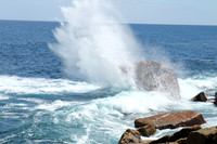 Lewin national park