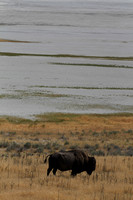 Antelope Island