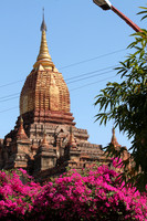 Bagan
