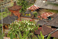 Tenganan.