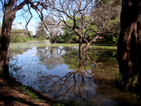 Sigirya