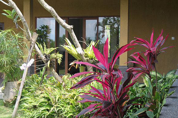 Ubud.