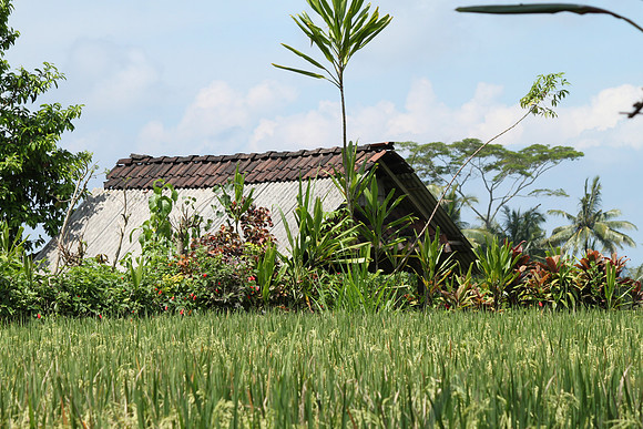Ubud.